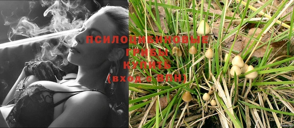 твердый Дмитриев