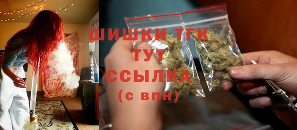 твердый Дмитриев